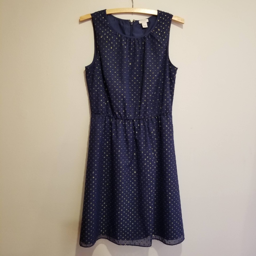 J. Crew Sleeveless Dress